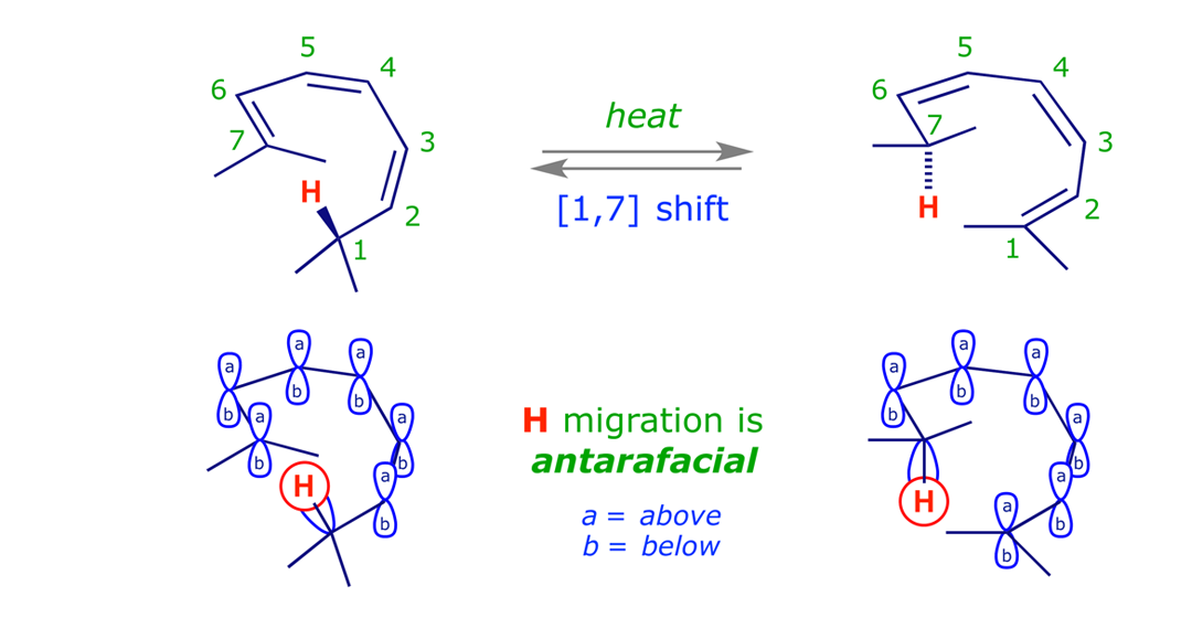 Thermal antarafacial [1,7] sigmatropic H shift in (4Z,6Z)-2,8-dimethylnona-2,4,6-triene