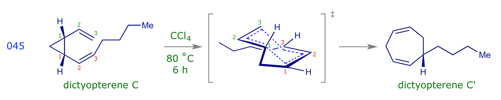 The Cope rearrangement providing dictyopterene C' from dictyopterene C