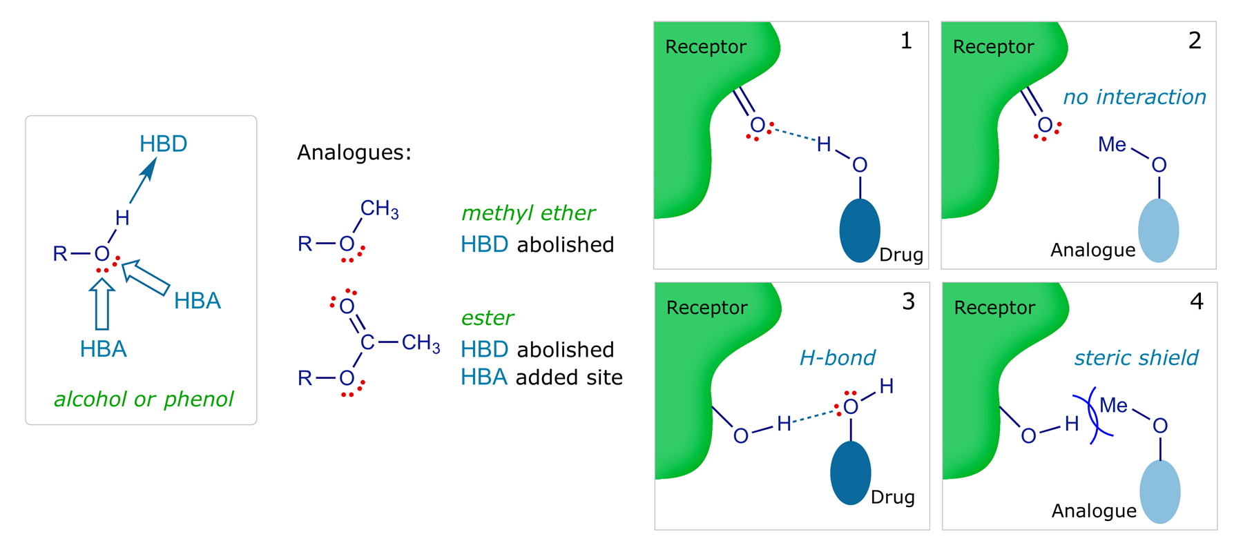 Binding motifs of functional groups: Alcohol/phenol hydroxyl
