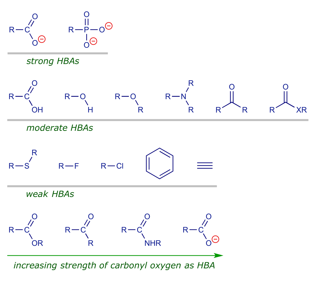 Chart comparing the capability of various functional groups as hydrogen-bond acceptors