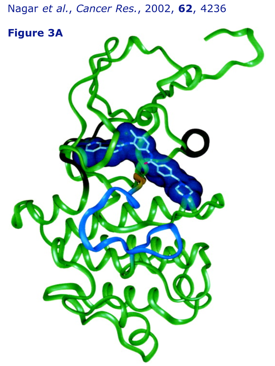 Figure 3A from Kuriyan's paper showing imatinib bound to Abelson tyrosine kinase