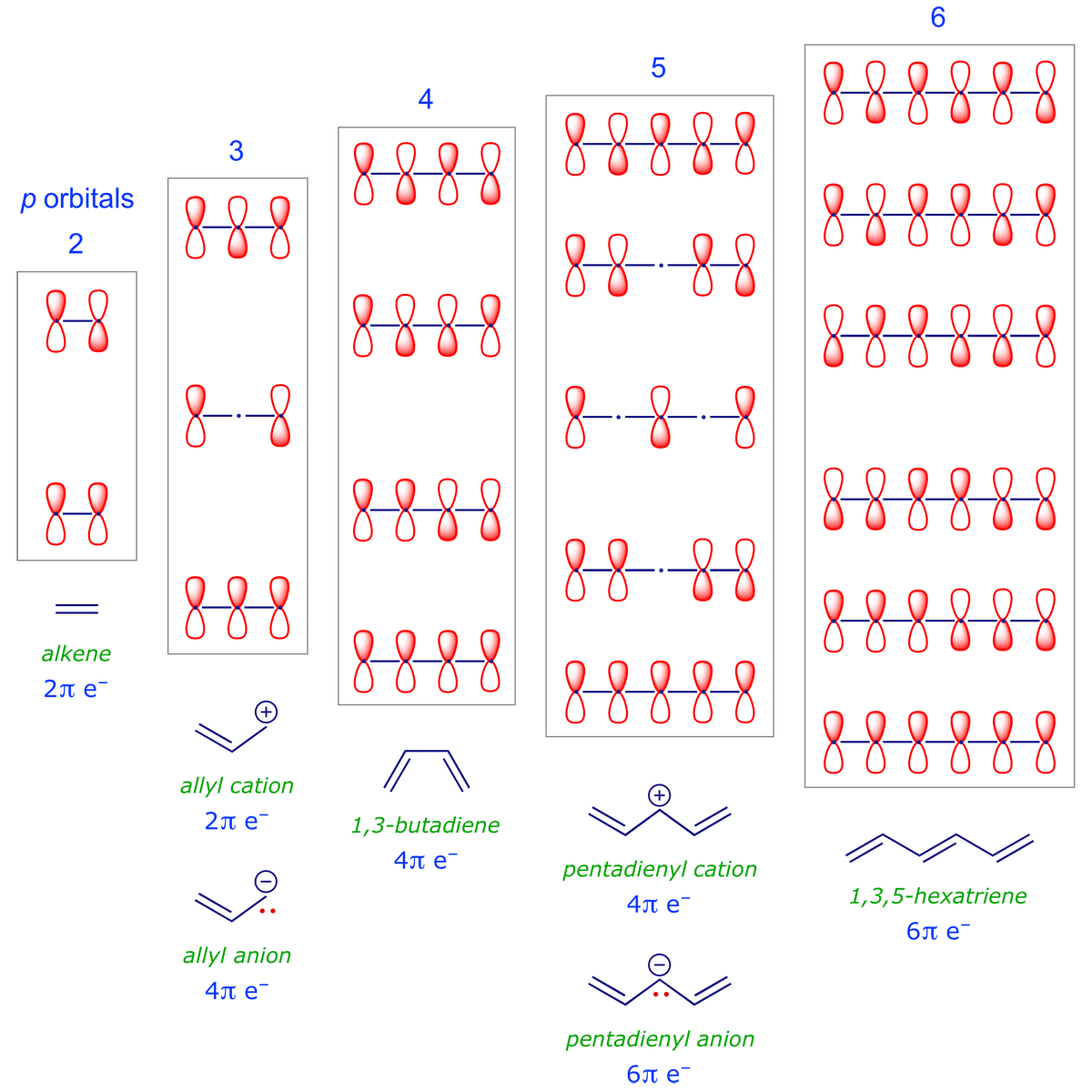 Table showing relative phases of the termini of conjugated π systems