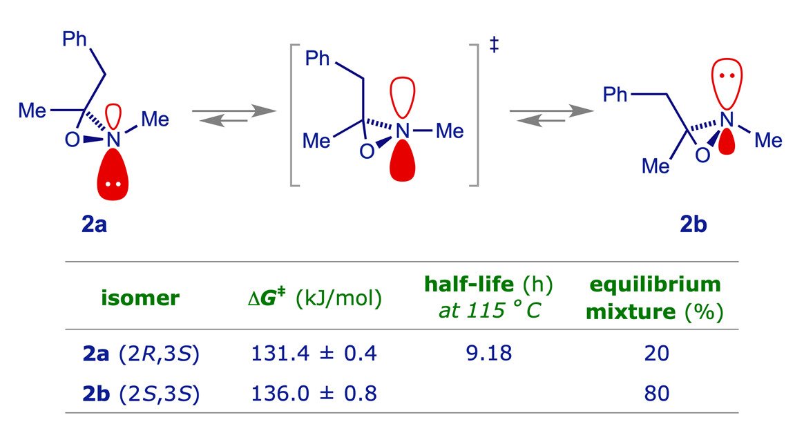 Stereochemical inversion of pyramidal nitrogen in 2,3-dimethyl-3-benzyloxaziridine