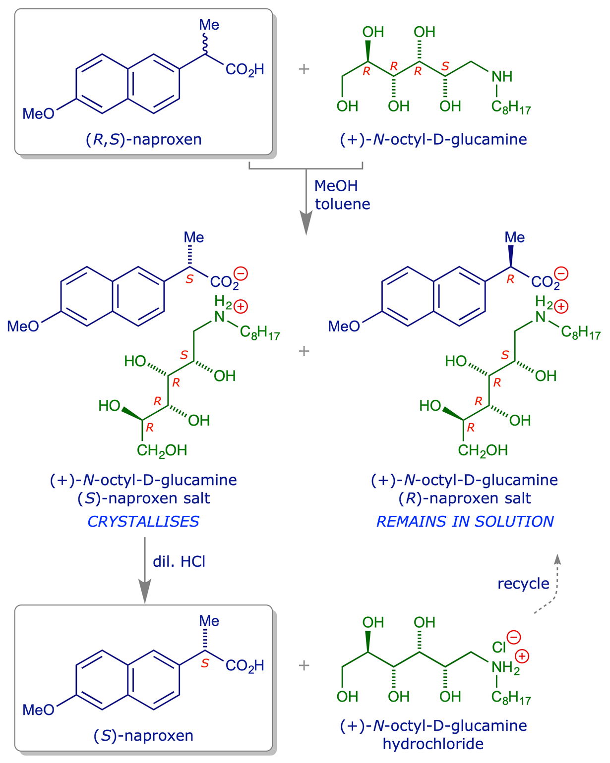 Scheme for the resolution of (±)-naproxen using (+)-<em>N</em>-octyl-D-glucamine